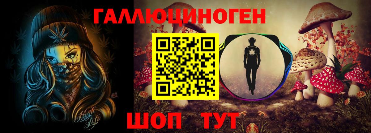 Псилоцибиновые грибы Psilocybe Отрадное